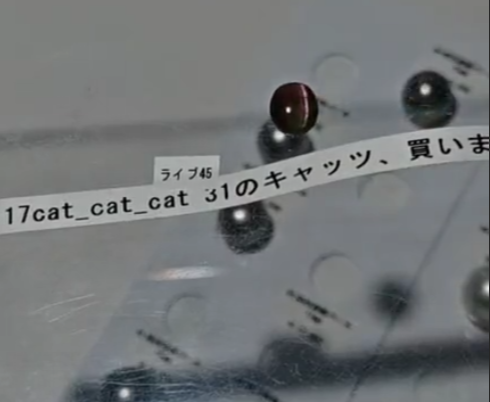 拡大