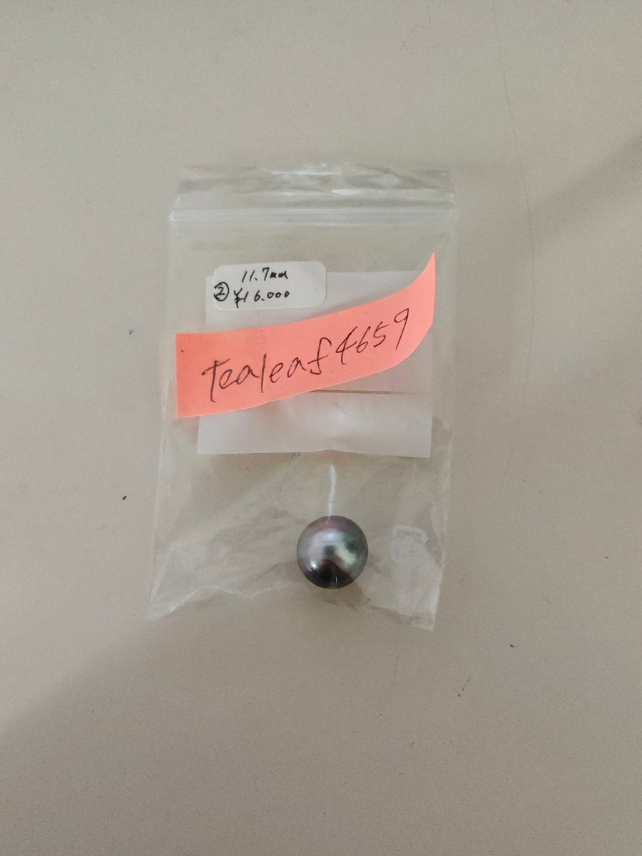 ★Live251004LIVE125 ②pearl 11.7mm
