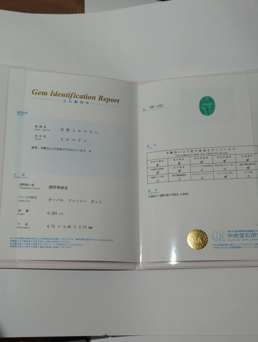 ◆CGL Sorting_ Paraiba Tourmaline